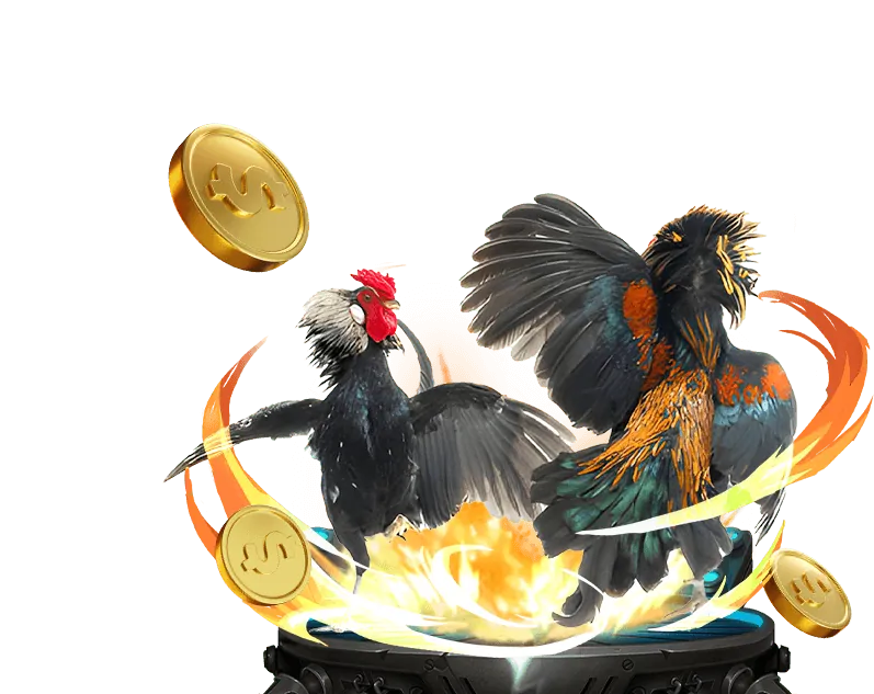 Hoa hồng cạnh tranh happy66